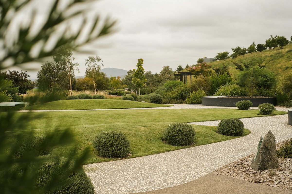 Een moderne tuin met gazon, bolvormige heesters en een grindpad